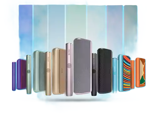 IQOS TEREA