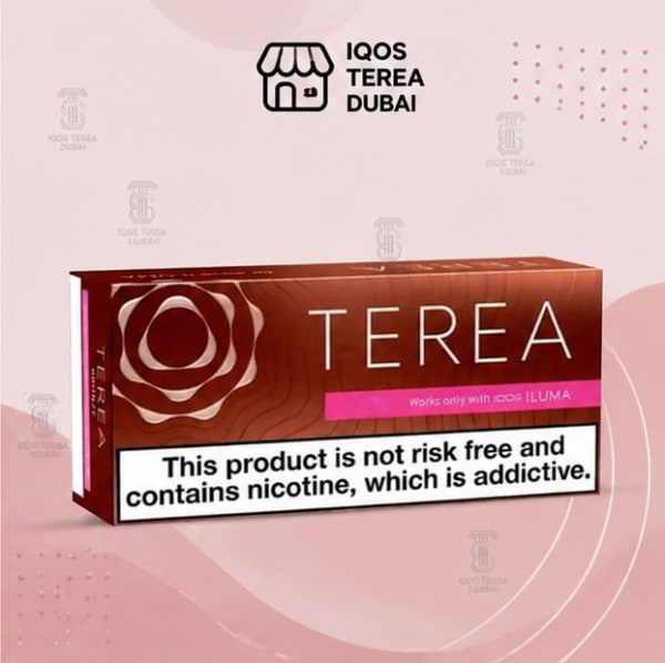 TEREA Bronze Swiss for IQOS ILUMA