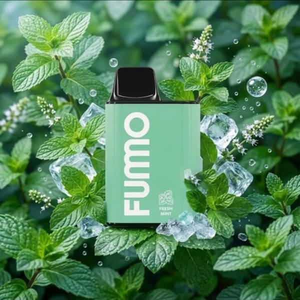 Fumo King Fresh Mint